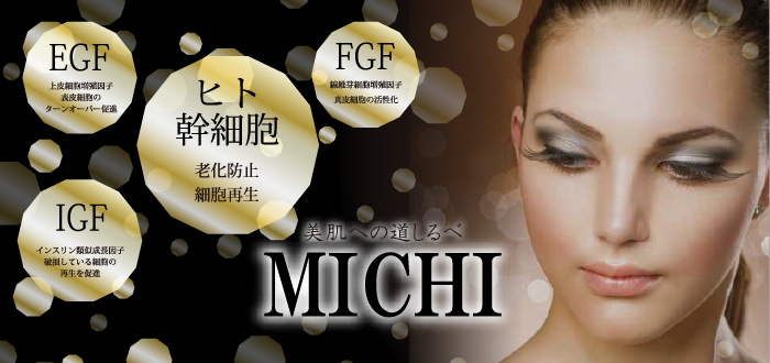 MICHI 美肌への道しるべ